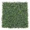 Ejoy 20in x 20in Artificial Boxwood Hedge Greenery Panels, Darkgreen, 12PK Darkgreen_1box - alternate 1